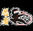Ninja Japanese Restaurant
