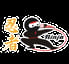 Ninja Japanese Restaurant