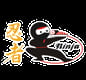Ninja Japanese Restaurant